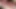 Phv_milking.xiii.1
