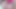 SWALLOWED Khloe Kingsley and Aviana Violet can't be stopped