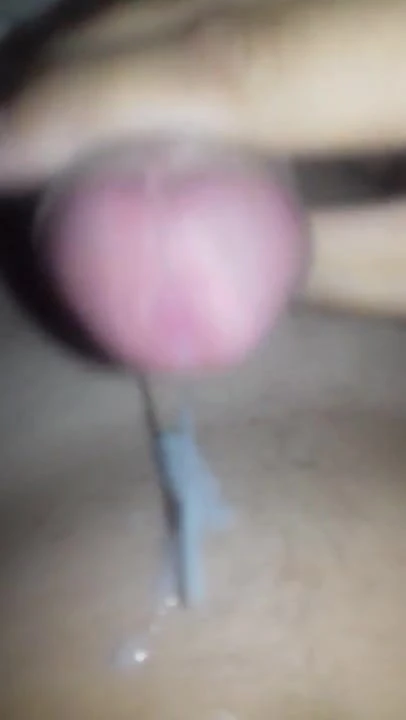 Sperm