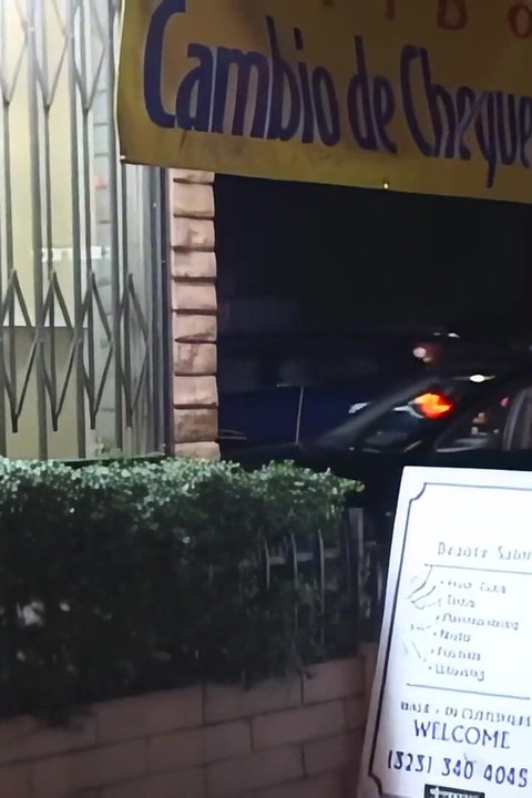 Тайна направляет любопытство этих ублюдков