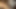 A sexy ebony babe pussy licked by a tiny dick loser