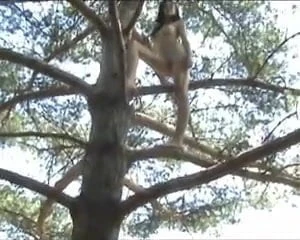 Naked Rambler Porn Videos | xHamster