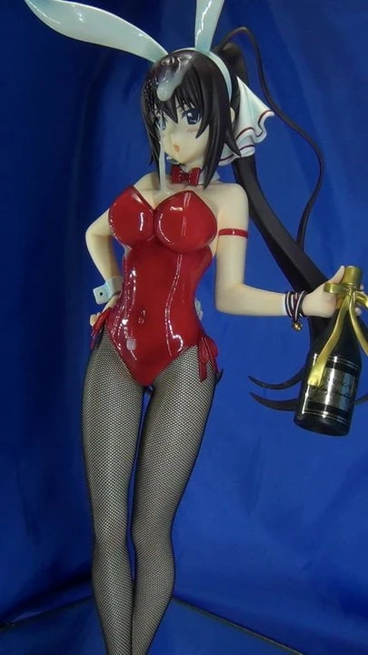figure bukkake (Houki Shinono Bunny) 191225