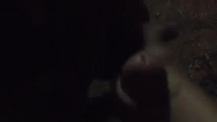 TWO BIG BLACK DICKS STROKING