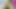 Perversion in the BBW fat neighbor massage room