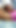 Powerful moment from "Indian hot bahabi and Dewar doggy style xnxx in the jungle 29766"