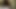 Slim Thick Ebony Goddess Moans While masturbating- Exclusive Fan Club Content Inside