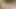 Twink in the woods - Huge cumshot in slowmo!