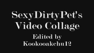 Sexydirtyslut 视频拼贴与 hollyjully 挑逗！