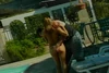 Video pregled
