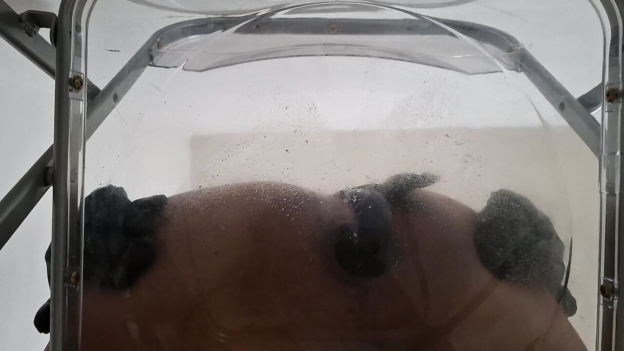 POV: Dirty Talk Fat Ass Trans Raven Facesitting e Anal Creampie depois de cavalgar vibrador através de cadeira transparente