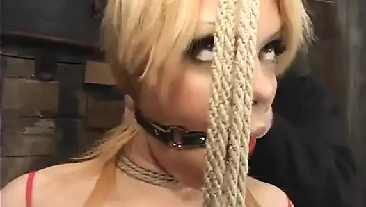 Gia Paloma