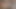 Cumshot Tribute: Daisy Ridley 1