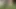Kitty Longlegs found a beautiful spot in the woods.  And decided to get an orgasm using her vibrator and dildo.