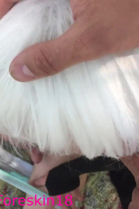 In front of everyone in outdoor, sissy and the stud fucked on the beach!