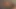 4 schnellste jungfräuliche creampies - stellaPremature - reite einen Redditor-Marathon