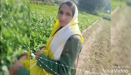 Reena