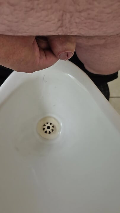 Public toilet wank