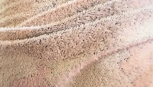 Я люблю эксгибиционизм, мне очень нравится прыгать на член, когда вокруг люди