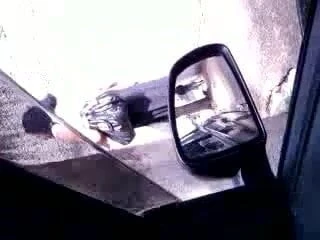 flash cock 1