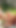 Thrilling moment from "Sixty Nine Loving Lesbians Lick Each Other’s Pussies In The Woods While They Are Alone"