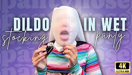 Dildo in Wet Stocking Panty