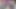 Travesti dildo canavar dildo anal