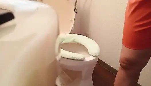 Various toilet scenes