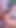 Wild Tali. Dildo oyunlarının tadını çıkarıyor