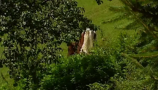 Грудастая немецкая крошка наслаждается сногсшибательной анальной оргией на улице