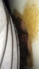 Glory hole