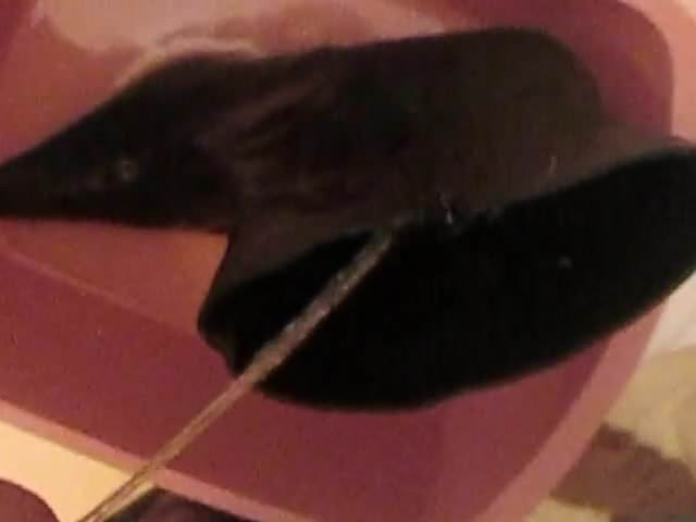Mrmessyshoesのセクシーなブーティの放尿pt 3