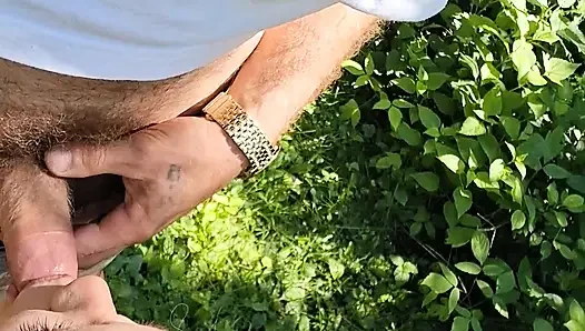 Amateur heiße milf zum cuckold gemacht und von großem weißem schwanz im freien vollgespritzt, während die nachbarn zuschauen.