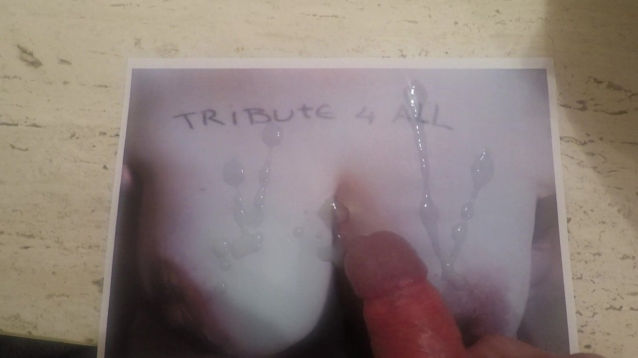 tribute to loll50