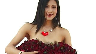 Asian Cuntz