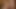Trisbli Futa Frenzy: Intense Anal Pounding, Gaping Ass, Swallowing Huge Loads - Cum Inside