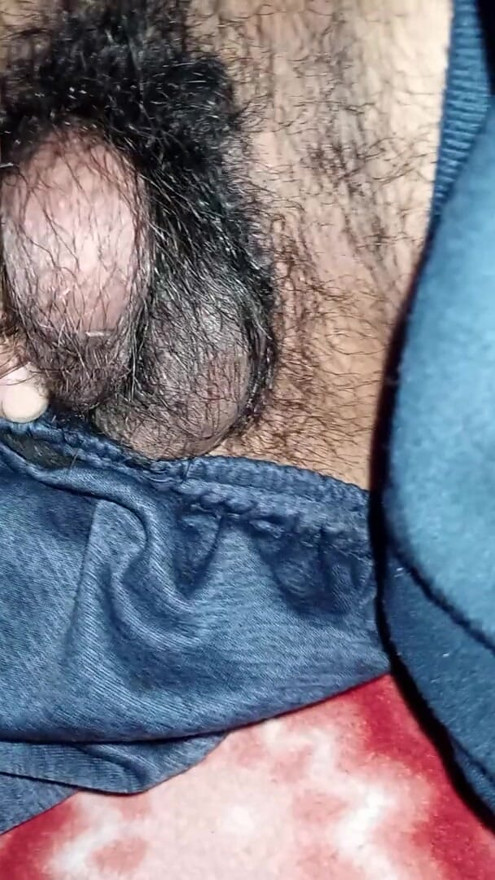 Mostre a bola peluda