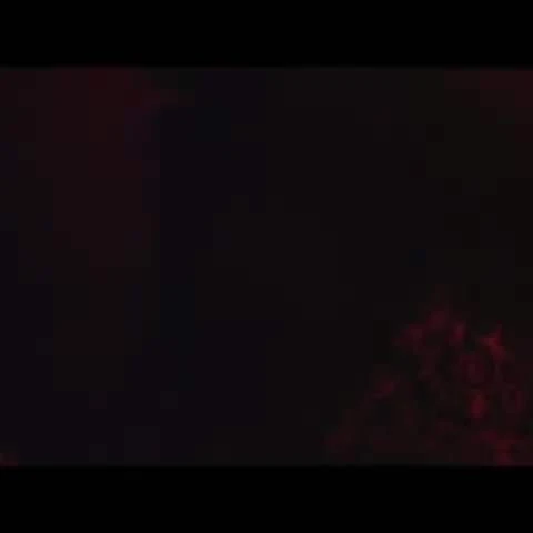 Homegrown - Instagram (Suck Off)