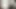 Pet femboy bunny is different from what you expected... (chilloutvr)