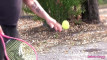 Pregled videozapisa