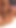 Epic moment from "Holly Taylor pleases a cock with her soft lips and wet pussy"