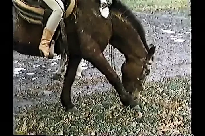 Justine 纯真 (1980)