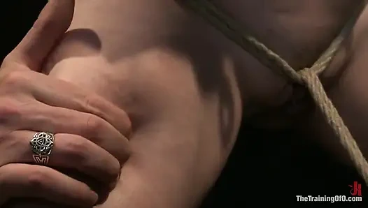 Sloane Soleil Day 3 Extreme Endurance Test with a Cock Sucking Reward