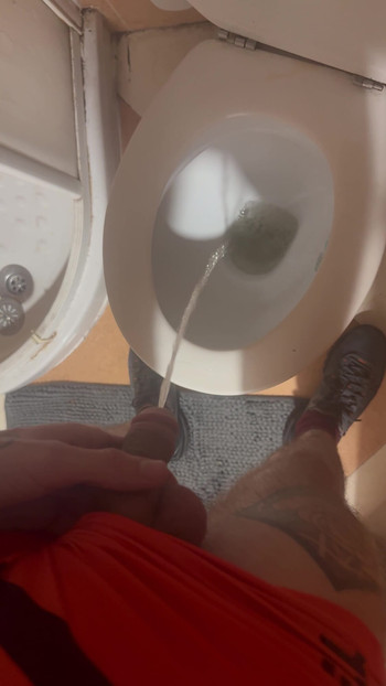 Skinny hung with tattoo's pisses in toilet