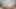 Noelle Silva Cum With You and Get Fucked Hard in Every Position - Massive Creampies & Cumshots, One Piece Hentai NSFW