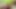 Color Jerking