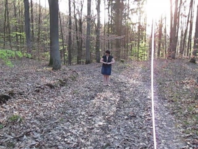 im wald