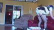 Pregled videozapisa