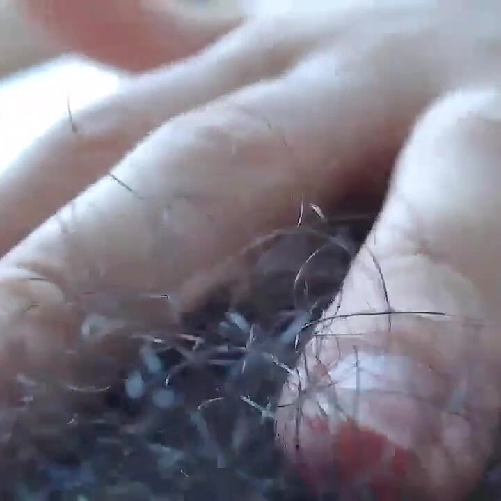 POV: Tiny Climbing on Giantess Naked Body