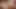 babes tutkuyla yeme KEDİ ile facesitting